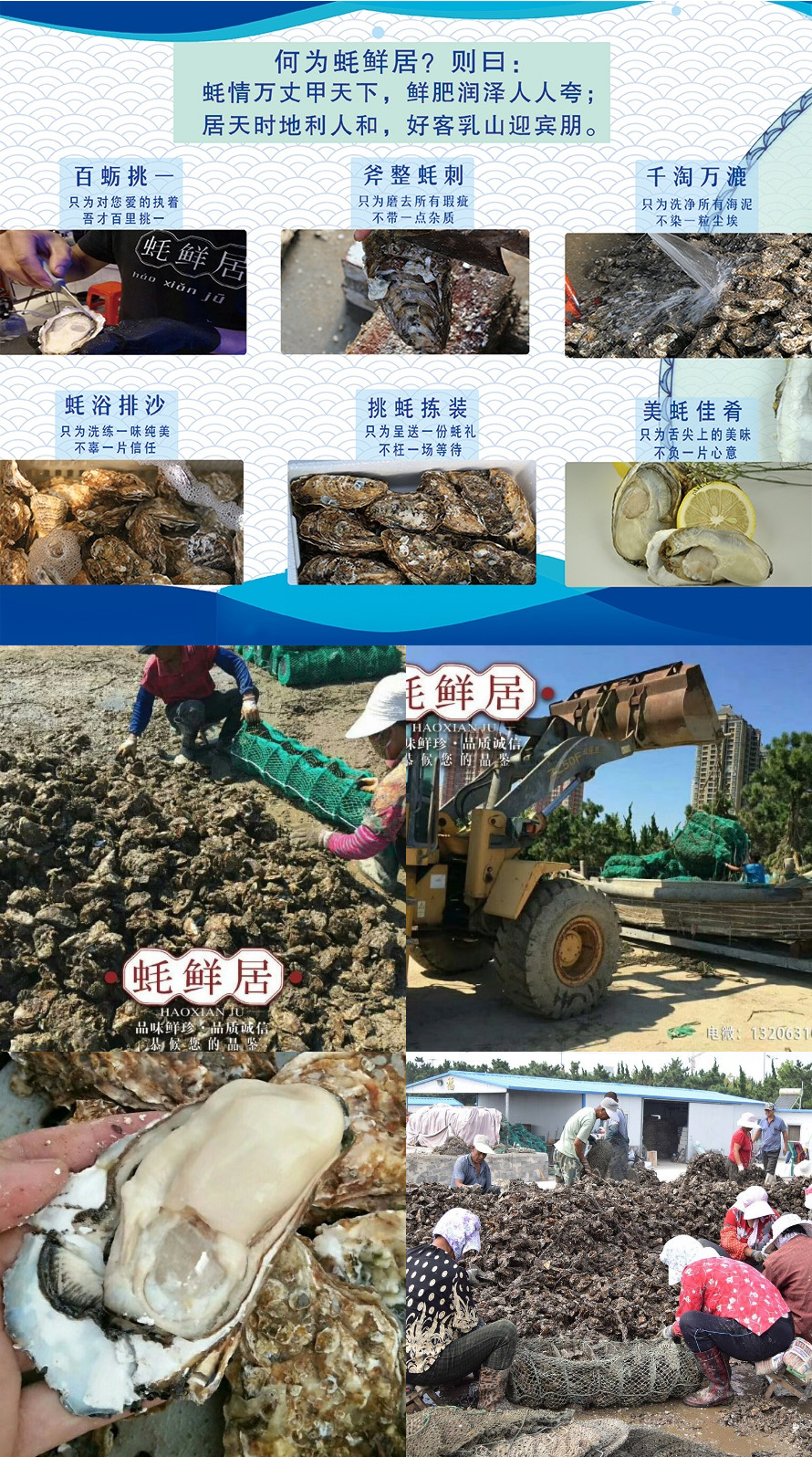 shijingzhangshi.jpg